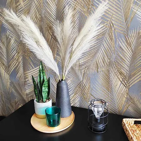 Apartment Palmas Burgas